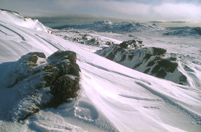 ben-lomond-winter-snow.jpg